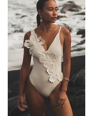 Bahia Maria X Anthropologie Maria Hawaiian One-Piece Swimsuit - Brown