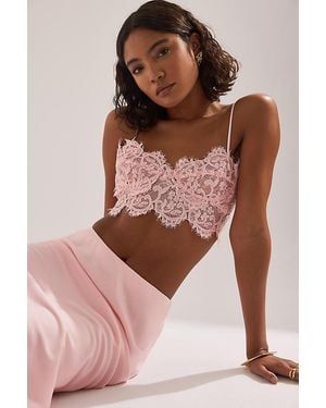 Bardot Linella Lace Bralette - Pink