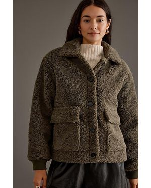 Sanctuary Mely Sherpa Jacket - Brown