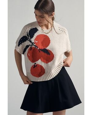 Maeve Short-Sleeve Crew-Neck Veggie Motif Graphic Jumper - Grey