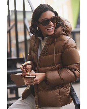 By Anthropologie Bubble Aviator Sunglasses - Brown