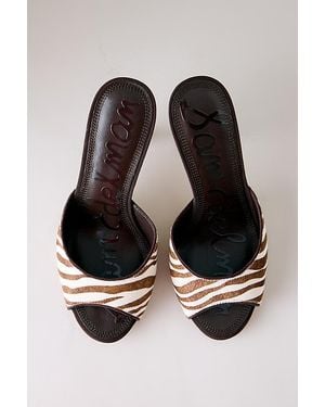 Circus by Sam Edelman Jeanie Zebra Mule Heels - Black