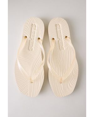Sleeper Tapered Transparent Flip Flops - Natural