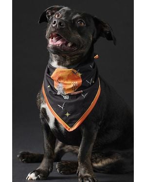 Anthropologie Halloween Pet Bandana - Black
