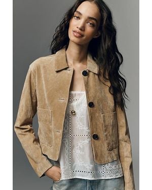 Blank NYC Real Suede Crop Jacket - Brown