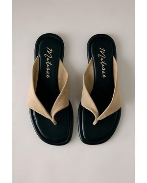 Matisse Mirage Thong Sandals - Black