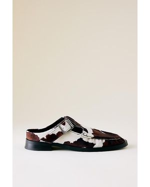 Miista Gianna Cow Buckled Mules - Black