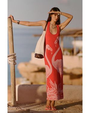 Celandine Flamingo Knit Midi Dress - Orange