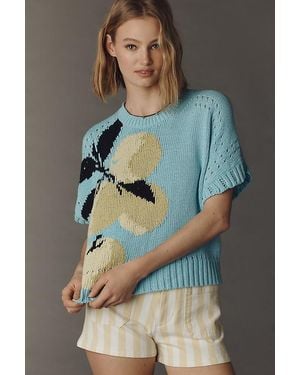 Maeve Short-Sleeve Crew-Neck Veggie Motif Graphic Jumper - Grey