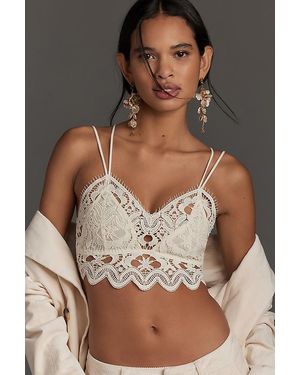 Anthropologie The Viviette Lace Bra Top - Brown