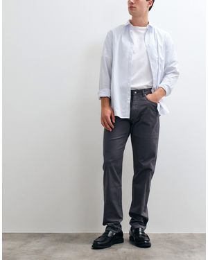 Mango Chino - Gray