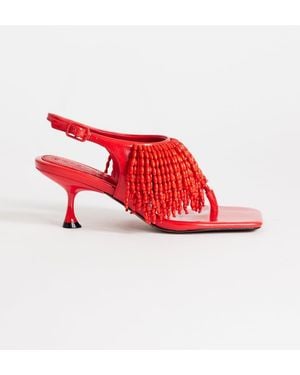 TOPSHOP Night - Rojo