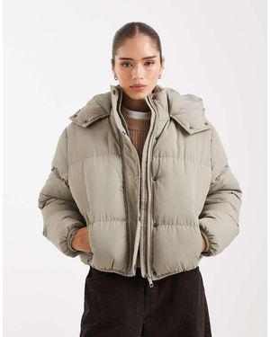Brave Soul Hooded Cropped Puffer Jacket - Natural