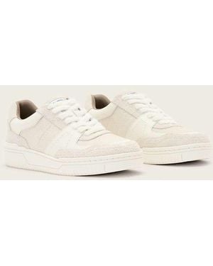 AllSaints Vix Leather Logo Trainer - Natural