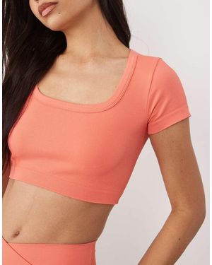 4505 Seamless Baby Rib Cropped Scoop Neck Baby Tee - Red