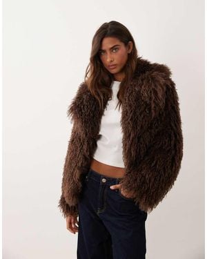 Miss Selfridge Cropped Mongolian Faux Fur Coat - Brown