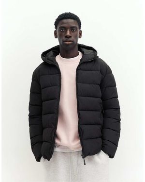 Pull&Bear Gewatteerd Puffer Jack Met Capuchon - Zwart