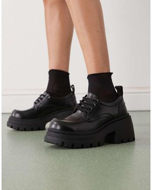 Buffalo Bravr Lace Up Shoe - Black