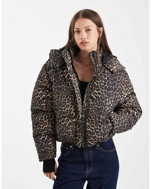 Brave Soul Piumino Con Stampa Leopardata E Cappuccio - Nero