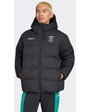 adidas Originals Liverpool Fc Eqt Down Jacket - Blue