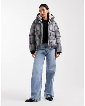 Hollister Chaqueta A Cuadros Vichy Negros Acolchada Con Cuello Alto De - Azul
