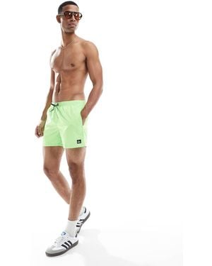 Quiksilver Everyday 15" Swim Shorts - Green
