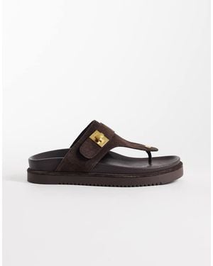 Steve Madden Tuned-in Thong Sandals With Buckle Strap - Brown