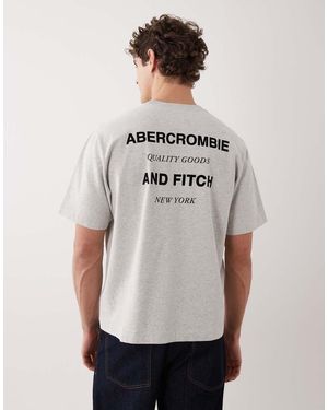 Abercrombie & Fitch T-Shirt Premium Pesante Grigia Con Logo Sul Retro - Neutro