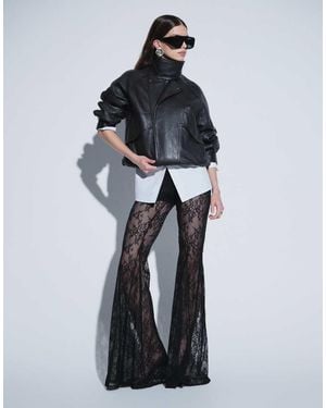 Noughts & Kisses Dakota Lace Flared Pant - Blue
