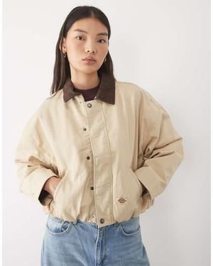 Dickies Jacket - Natural