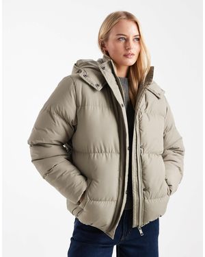 Brave Soul Tall - doudoune courte à capuche - sauge - Neutre