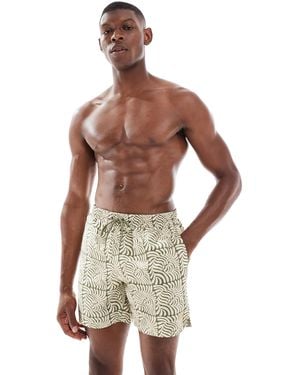 Farah Colbert Swim Shorts - Brown