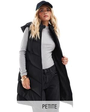 Threadbare Petite - doudoune longue sans manches avec capuche - Noir