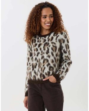 Threadbare Brushed Knit Crew Neck Jumper - Multicolour