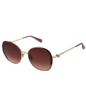 Ted Baker Zarah Sunglasses - Brown