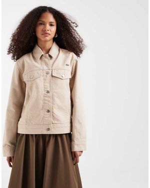 Lacoste Chaqueta Vaquera Estilo Camionero De -Neutro - Marrón