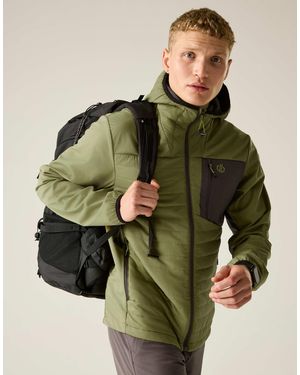Dare 2b – winddichte bergsteiger-softshelljacke - Grün