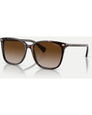 Ralph Vvcv - Marrone