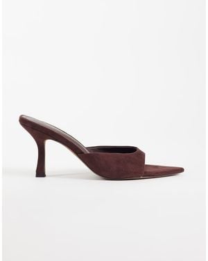 ASOS Hotline - Bruin