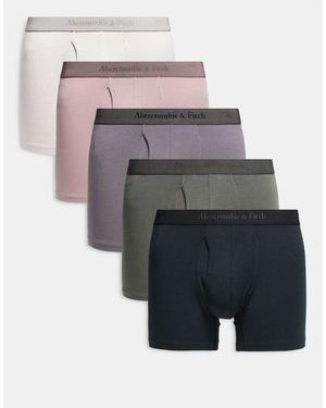 Abercrombie & Fitch 5 Pack Tonal Boxer Briefs - Grey