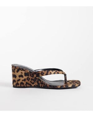 Public Desire Public Desire - Multicolor