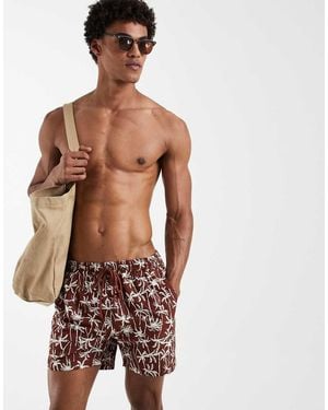 South Beach Palm Print Swim Shorts - Red