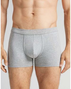 Intimissimi "The Indestructible" Boxers - Grey