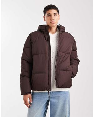 Hollister Hooded Puffer Jacket - Brown