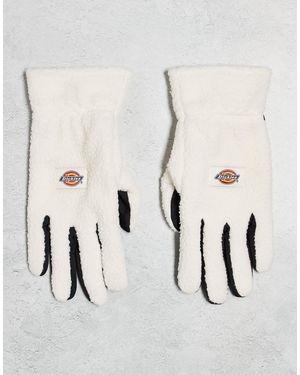 Dickies – pinesdale – handschuhe - Natur