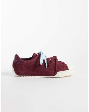 Converse Chuck Taylor Lo - Viola
