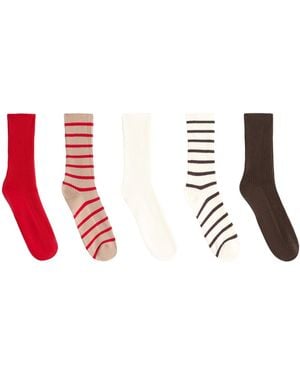 Oysho – 5 paar klassische socken aus baumwollmix - Rot