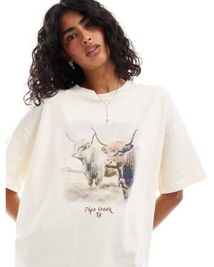 ASOS T-Shirt Oversize Écru Con Stampa Di Mucca Highlander - Bianco