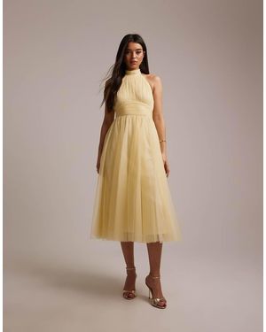 LACE & BEADS Bridesmaid Tulle Halter Neck Midi Dress - Natural