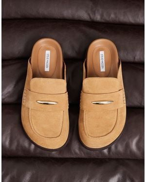 Steve Madden – tobin – clogs aus wildleder - Schwarz